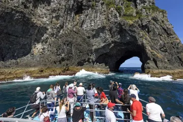 Best Water Activities in the Bay of Islands